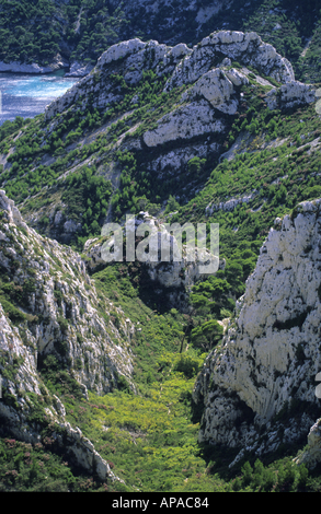 Arbusto di roccia montagne coperte e insenature tra Morgiou e Sugiton insenature, Les Calanques, Marsiglia, Francia. Foto Stock