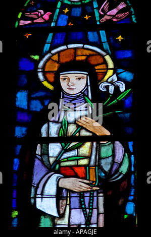 Gyor, Western oltre Danubio, Ungheria. Finestra di vetro colorato nella cattedrale di Gyor Foto Stock