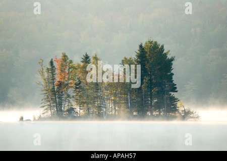 Una piccola isola su Kelly Creek Lake New Brunswick Canada in un inizio autunno la nebbia Foto Stock