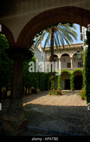 Spagna Andalusia Cordoba Patio In la Juderia trimestre Foto Stock