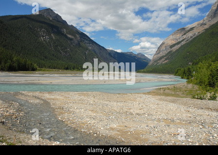 Fiume Kicking Horse nei pressi di campo nelle Montagne Rocciose B.C. Foto Stock
