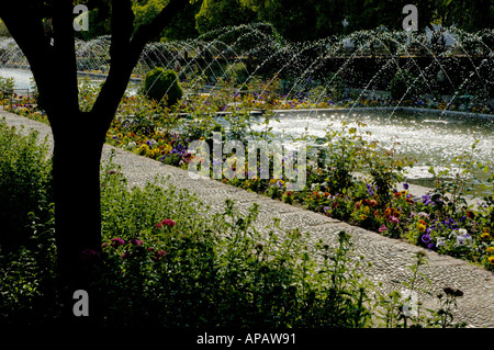 Spagna Andalusia Cordoba Alcazar dei Re Cristiani Fontana geyser nei giardini Foto Stock