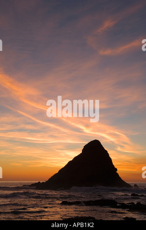 Parrot Rock al tramonto Heceta Head Lighthouse Viewpoint membro diavoli edicola il gomito del parco statale Oregon Coast Foto Stock