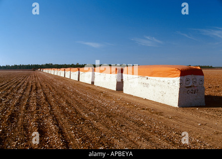 Moduli di cotone siedono lungo un turnrow in un campo di raccolta in attesa dei mezzi di trasporto per un gin di cotone per l'elaborazione / Mississippi, Stati Uniti d'America. Foto Stock