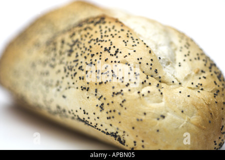 Pane focaccia di semi di papavero Semi di Bloomer pagnotta di pane Foto Stock