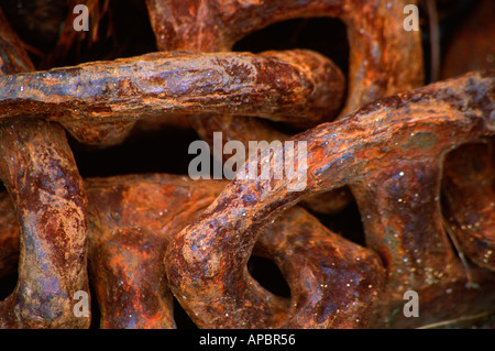 Dettaglio di un arrugginito pesca Porthgain catena Pembrokeshire Wales UK Foto Stock