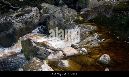 Il fiume che scorre attraverso un glen, County Antrim, Irlanda del Nord Foto Stock