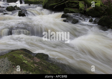Golitha Falls riserva naturale nazionale del fiume Fowey fluisce attraverso una gola boscosa in una serie di cascate spettacolari Foto Stock