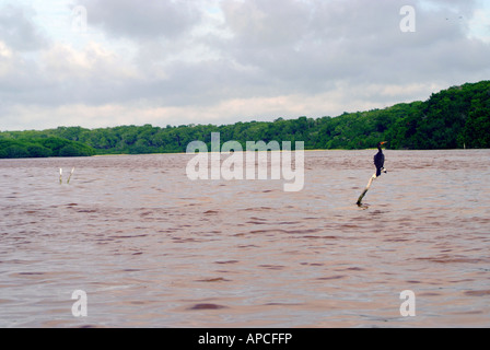 Il Celestun Wildlife Refuge, Yucatan, Messico Foto Stock