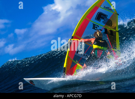 Windsurf equilibrio e concentrazione, windsurfer Top Bjorn Dunkerbeck Foto Stock