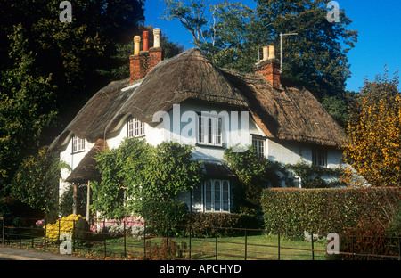 Beehive Cottage a verde del cigno, Lyndhurst, New Forest National Park, Hampshire, Inghilterra, Regno Unito Foto Stock