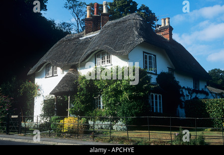 Beehive Cottage a verde del cigno, Lyndhurst, New Forest National Park, Hampshire, Inghilterra, Regno Unito Foto Stock