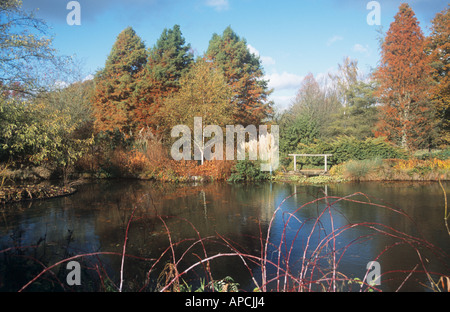 Visualizzare attraverso lo stagno in autunno, Sir Harold Hillier giardini, vicino a Romsey, Hampshire, Inghilterra, Regno Unito Foto Stock