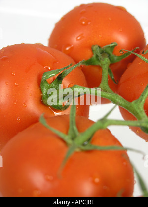 Pomodori in vigna Foto Stock