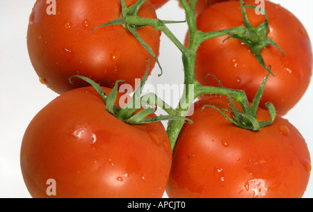 4 pomodori rossi sulla vite Foto Stock