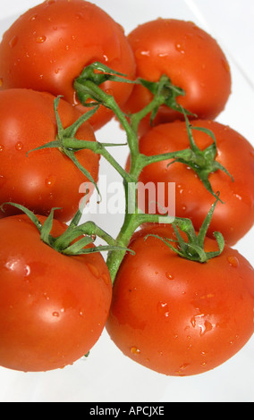 Pomodori in vigna Foto Stock