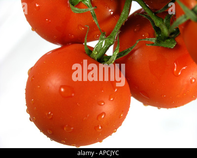 Pomodori in vigna Foto Stock