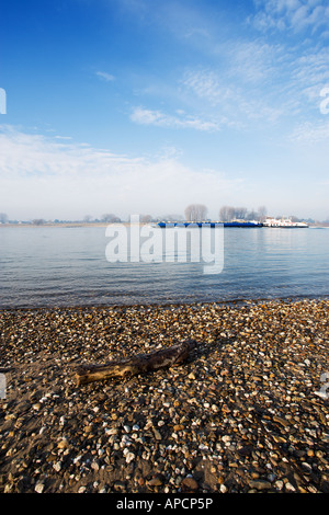 Freightship sul fiume Reno vicino a Düsseldorf, Germania, driftwood sulla banca in primo piano Foto Stock