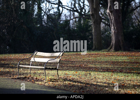 Una panchina nel parco in Clifton, Bristol Foto Stock