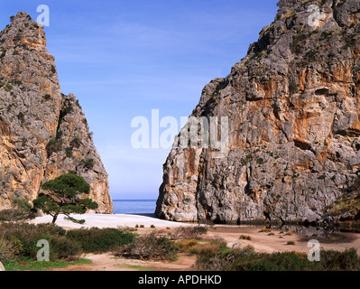 Torrent de Pareis, spiaggia, Cala de Sa Calobra Maiorca, SPAGNA Foto Stock