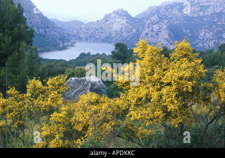 Stausee, Embalse de Gorg Blau, Mallorca Balearen, Spanien Foto Stock