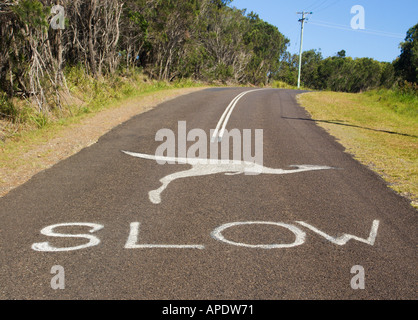 Paese australiano il simbolo di attenzione richiesta per il traffico lento in giù per i canguri nella campagna del Nuovo Galles del Sud Australia Foto Stock