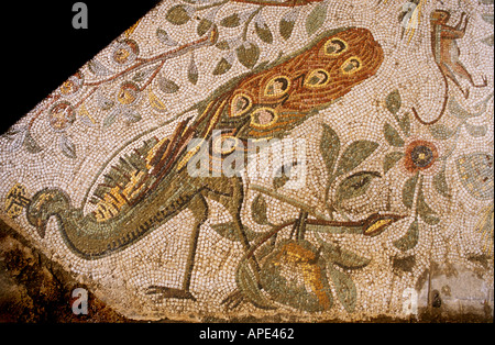 Pavimento a mosaico, Cartagine Tunisia Africa Foto Stock