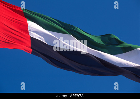 Bandiera degli Emirati Arabi Uniti Foto Stock