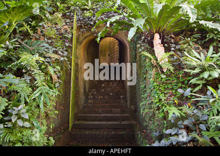 Casella di battaglia della Seconda guerra mondiale Malaya Singapore Command Center Fort Canning Singapore Foto Stock