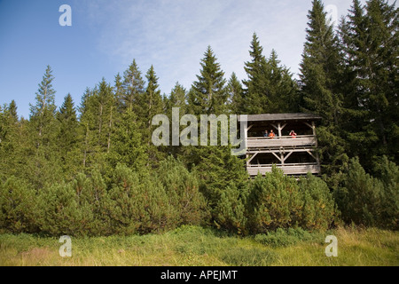 Gli amanti del birdwatching in pelle a spranga Jezerni bog nella Selva Boema Parco Nazionale di Bohemia Repubblica Ceca Foto Stock