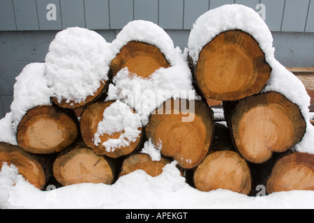 Parecchi centimetri di neve sulla parte superiore della pila di legno di pino logs impilati come legna da ardere in storage in inverno Foto Stock