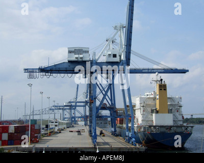 Nave container di gru di carico. Charleston, Sc. Stati Uniti d'America. Foto Stock