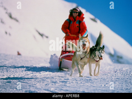 Husky dog racing su neve in Francia Foto Stock