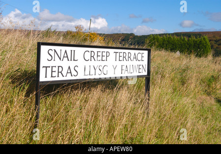 Insolito denominata Welsh bilingue Lingua Inglese strada segno lumaca terrazza creep a Varteg South Wales UK TERAS LLYSG Y FALWEN Foto Stock