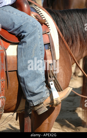 Cowboy di uomini e donne a cavallo di taglio con i bovini la concorrenza sul ranch in arena Foto Stock