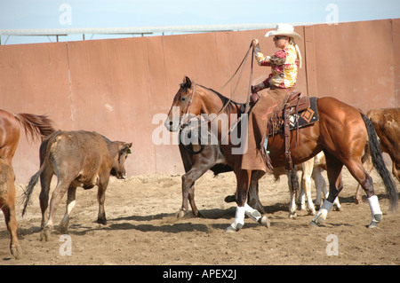 Cowboy di uomini e donne a cavallo di taglio con i bovini la concorrenza sul ranch in arena Foto Stock