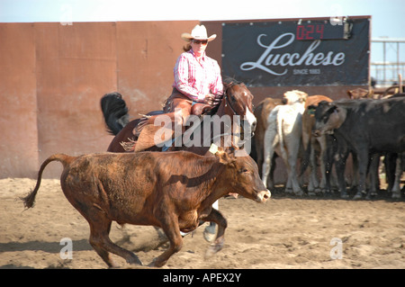 Cowboy di uomini e donne a cavallo di taglio con i bovini la concorrenza sul ranch in arena Foto Stock