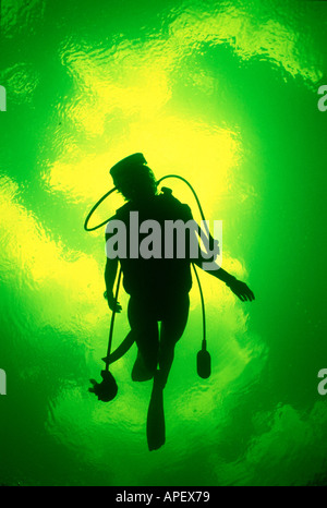 Backlit scuba diver shot dal di sotto, Key Largo, Florida, Stati Uniti d'America Foto Stock