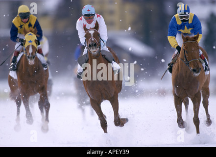 Le corse di cavalli in Snow St Moritz Foto Stock