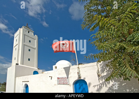Tipica scena di strada nel piccolo villaggio di Sidi Bou Said, a nord di Tunisi, Tunisia. Foto Stock