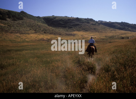 Un cowboy guarda per la sua mandria sul suo ranch. Foto Stock