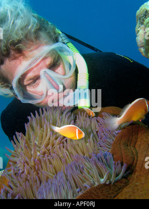 Apneista e Rosa Anemonefish Amphiprion perideraion in Anemone Agincourt Reef della Grande Barriera Corallina del Queensland del Nord Australia Foto Stock