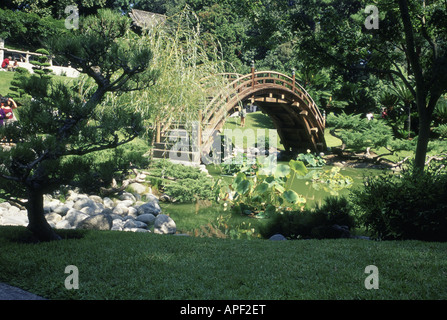 Giardino giapponese con luna bridge e Lotus Pond, Huntington Botanical Gardens, San Marino, California Foto Stock