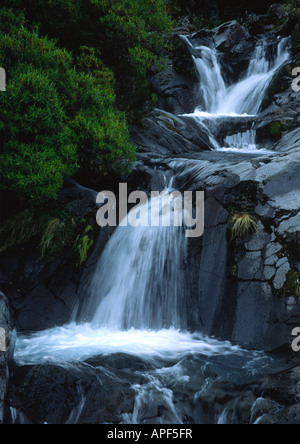 Acqua a cascata, Taranaki, Nuova Zelanda Foto Stock