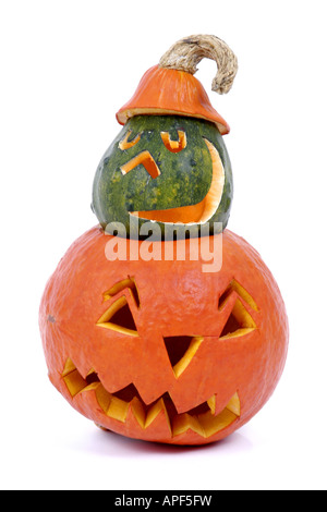 Campo di midollo ornamentali di zucca zucca di Halloween zucca cucurbita pepo Hokkaido und Cucurbita pepo convar microcarpina mangiabile Foto Stock