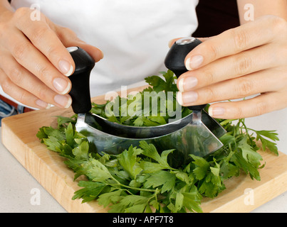 La donna in cucina tritare il prezzemolo con HACHOIR / Mezzaluna Foto Stock