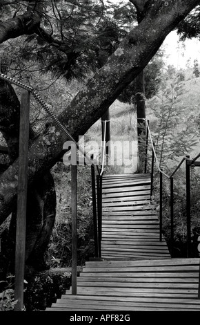 Il vecchio ponte di legno sul fiume , arte Foto Stock