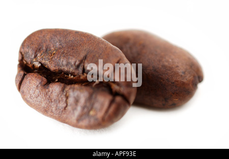 Chicchi di caffè Foto Stock