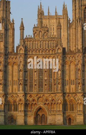 Cattedrale di Wells sole serale sulla faccia Ovest Foto Stock