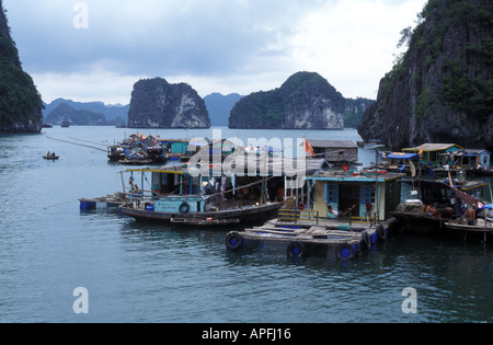 Villaggio galleggiante, la baia di Ha Long, Vietnam Foto Stock
